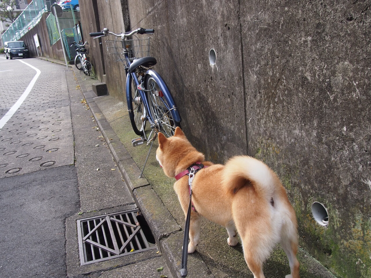 开云体育入口-德甲主场优势明显,拜仁慕尼黑豪取连胜,德甲拜仁慕尼黑直播 开云体育入口-德甲主场优势明显,拜仁慕尼黑豪取连胜,德甲拜仁慕尼黑直播