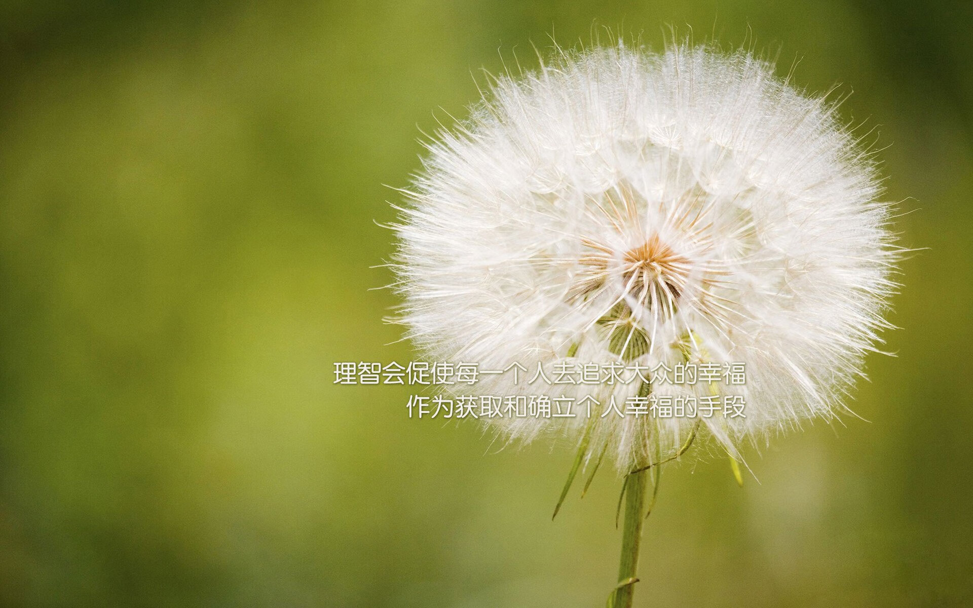 开云电子竞技-德甲:勒沃库森3-2逆转福尔索斯堡,恩昆库中场表现出色,勒沃库森vs 开云电子竞技-德甲:勒沃库森3-2逆转福尔索斯堡,恩昆库中场表现出色,勒沃库森vs